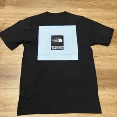Supreme The North Face Bandana Tee S