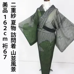 着用少ない！美品＊二重紗＊個性的＊山並風景＊夏物＊訪問着＊１６２ｃｍ＊裄６７のサムネイル