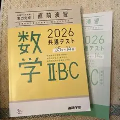 みらい様 リクエスト 2点 まとめ商品