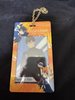 ハイキュー 影山飛雄