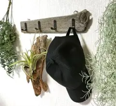 Item thumbnail for item b94bfe3a-38ce-419e-802b-1efde98099d8