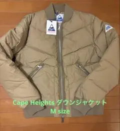 Item thumbnail for item e40ca205-8df1-4d33-ae0e-fedb31717b70