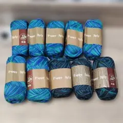 【毛糸】 Puppy 3ply 段染 10個セット パピー レア 日本製 青色系