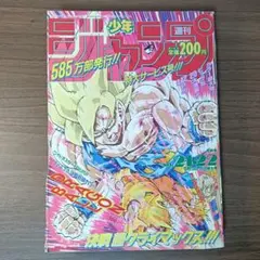 2026年最新】週刊少年ジャンプ1991年21の人気アイテム - メルカリ