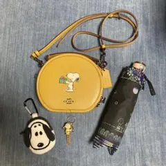 2025年最新】coachスヌーピー傘の人気アイテム - メルカリ
