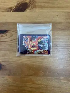 寶可夢フレンダ 最佳組合第五彈 炎武王