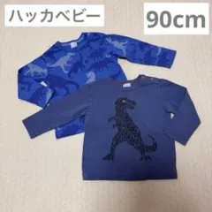 ハッカベビー 長袖Tシャツ 90 2枚セット 恐竜柄 男の子 春服 保育園