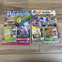 ポケモンフレンダ　スペシャル　ミュウ　リザードン　2枚セット