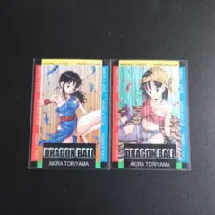 2025年最新】チチカードの人気アイテム - メルカリ