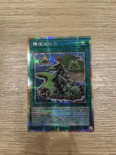 遊戯王 環境適応力