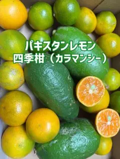 ❣️ 芳醇な香り♪パキスタンレモン&四季柑（カラマンシー）のサムネイル