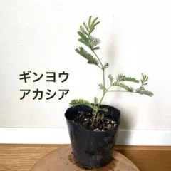 user_da0d27d0様 リクエスト 7点 まとめ商品