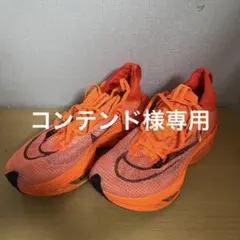 Item thumbnail for item 80951ad1-39aa-4f02-a964-a3e1dfabdb19