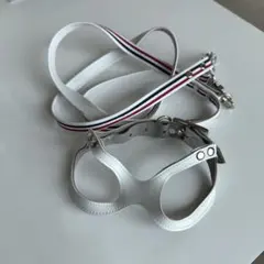 小型犬用 ハーネス、リードセット