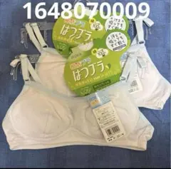 Item thumbnail for item 110625f7-7334-43ea-a0e0-880dedf8cdb6