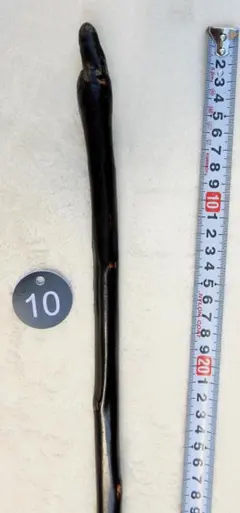 2025年最新】アカザの杖の人気アイテム - メルカリ