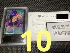 ポケモンカード ナタネ SR ARS鑑定 Grade 10 - メルカリ