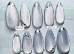 ネイルチップ　No.67 265710 現品