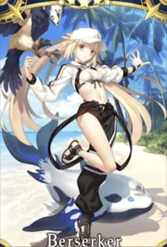 【美品】FGO キャストリア水着 コスプレ衣装