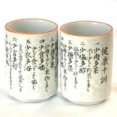 【新品未使用】 健康十訓 湯飲み ２個セット　昭和レトロ