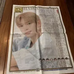 &TEAM エンティーム HARUA 新聞 2024 8月20日 スポーツ報知