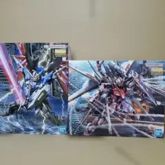 MG デルタプラス & MGリゼル隊長機 2体セット - メルカリ