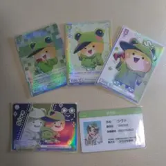 からぴち　シヴァさん