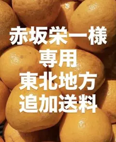 赤坂栄一様　専用　東北地方　追加送料