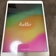 X*g様 iPadPro 10.5インチ（A1701) 64GB