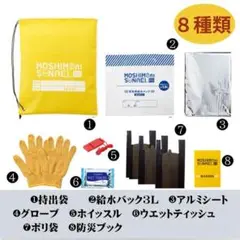 丸辰 防災セット 1人用 非常持ち出し袋付き モシモニソナエル 防災 8点セット