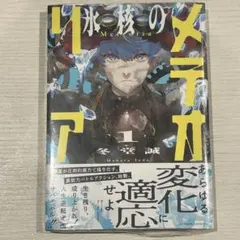 氷核のメテオリア 1巻 初版・帯付き シュリンク未開封 - メルカリ