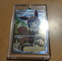 ポケモンごっこ　sr