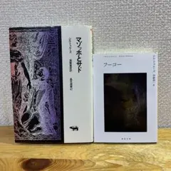 【ドゥルーズ・２冊セット】『マゾッホとサド』＋『フーコー』