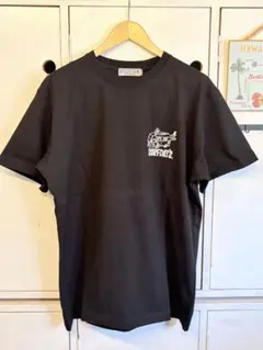【SURF DAYS】サーフデイズTシャツ（L）2026モデル805☆人気☆のサムネイル