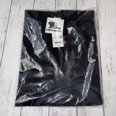 新品未使用　ユニクロ　KAWS➕WARHOL Tシャツ　L
