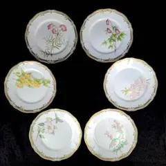新品未使用Noritake Gala Contessa花柄ディナー皿 6枚セット - メルカリ