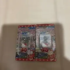 RT-174743様専用　ご当地キティ　2個セット