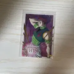 【最安値】HUNTER×HUNTER イタジャガ　ヒソカ