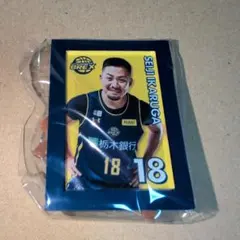 宇都宮ブレックス　鵤選手 ミニチュアアートイーゼル