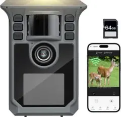 Item thumbnail for item 451c77bf-cfa9-4578-8f66-44ab159eefcf