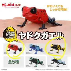 いきもの大図鑑　ヤドクガエル 　2点セット