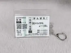 メイショウタバル 2025宝塚記念 応援単勝馬券【カラーコピー】＋馬券