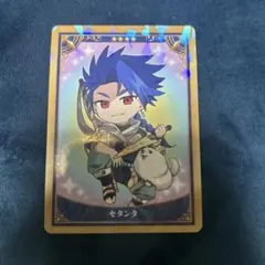Fate FGO ミニ最終再臨 コレクションカード セタンタ