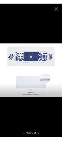 新品未使用　横浜DeNAベイスターズ×亀遊舘 コラボスタオル
