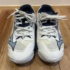 ミズノ バレーボールシューズ ウェーブライトニング Z8 V1GA2400