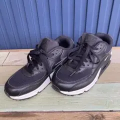 Item thumbnail for item 9407dd14-e5c0-4a77-b101-621bc5a43a7e