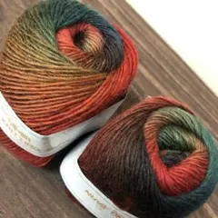 グラデーションウールヤーン2玉 オータムカラー