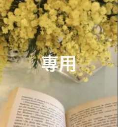 ミニチュアスイーツ　レーズンサンド　セット
