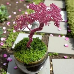 Item thumbnail for item 9dca4917-02ef-42af-97cb-1e7188c8cbd0