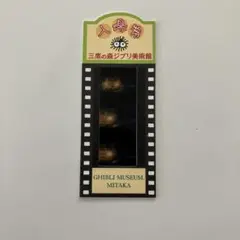 三鷹の森ジブリ美術館フィルム 三鷹の森ジブリ美術館 フィルム 入場券
